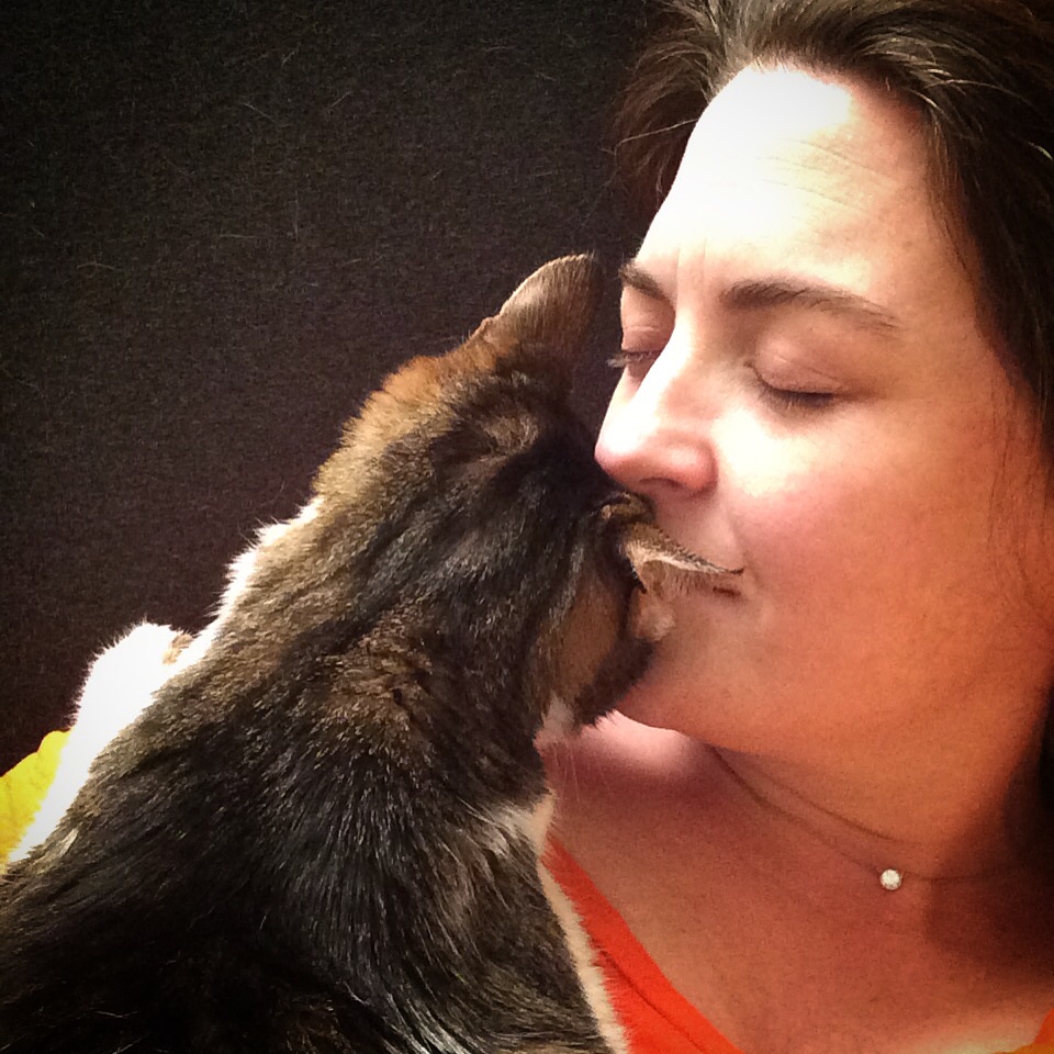IMG_0001_2 Sam, a cat who loved his mom