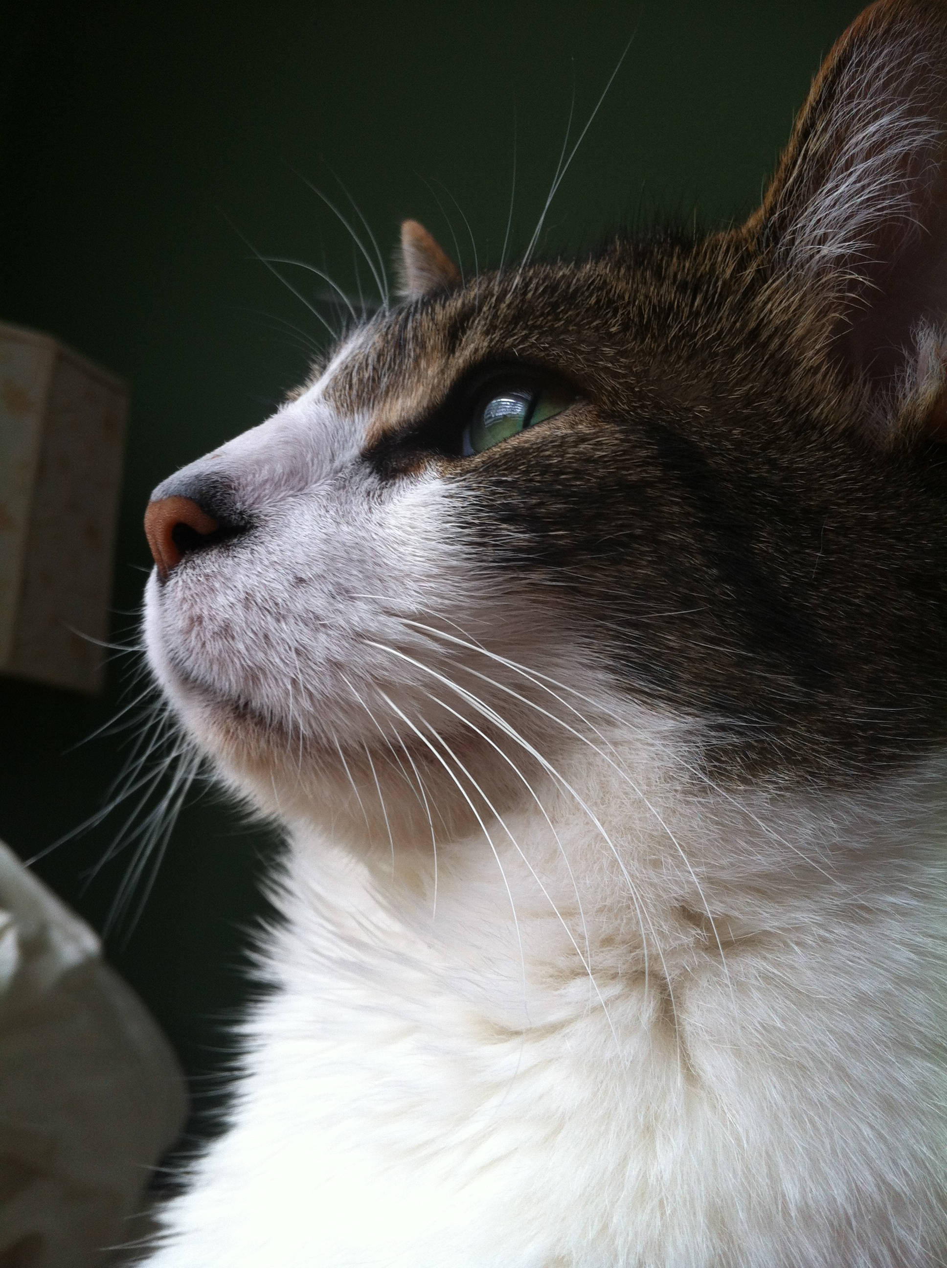 IMG_1454_2 Sam